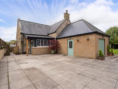Picture 20